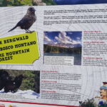 Foto 2019 4075343636