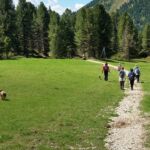 Foto 2019 3786581497