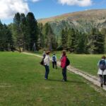 Foto 2019 1161001000