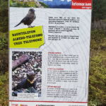 Foto 2019 3683465239