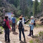 Foto 2019 2131551686