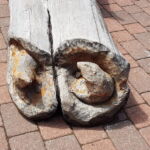 Foto 2019 2659758117