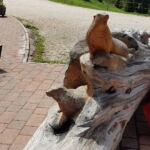 Foto 2019 1043656416