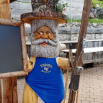 Foto 2019 2595566385