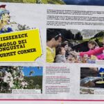 Foto 2019 3413708395