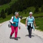 Foto 2019 1878578106