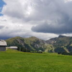 Foto 2019 1382902437