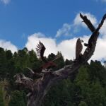 Foto 2019 1856701969