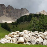 Foto 2019 3391806400