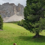 Foto 2019 1891315317