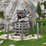 Foto 2019 3560633252