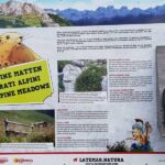 Foto 2019 3490148528