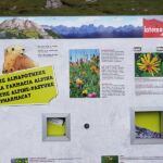 Foto 2019 1615796233