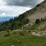 Foto 2019 3301885400