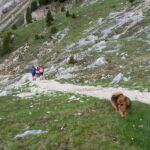 Foto 2019 2681955726