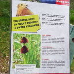 Foto 2019 2177584618