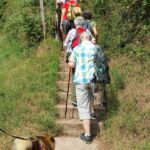 Foto 2019 3073820139