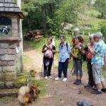 Foto 2019 3888643732