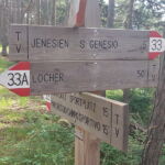 Foto 2019 2388744360