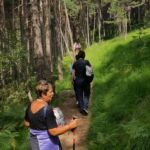 Foto 2019 3734004695