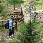 Foto 2019 4241383982