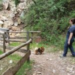 Foto 2019 2889832785