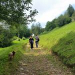 Foto 2019 3594399363