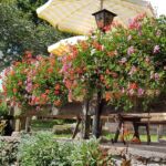 Foto 2019 2261718524