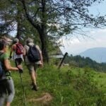 Foto 2019 1838320130