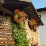 Foto 2019 4112998847