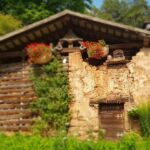 Foto 2019 1550539285