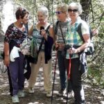 Foto 2019 3964129500