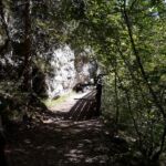 Foto 2019 1302701602