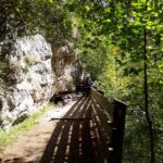 Foto 2019 2459591331