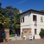 Foto 2019 3646550635