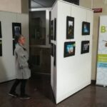 Foto 2019 2690713153