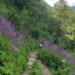 Foto 2020 2771901879