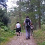 Foto 2020 2729534566