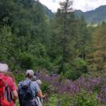 Foto 2020 1031085583