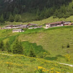 Foto 2020 3032704294