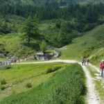 Foto 2020 3007700215