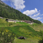 Foto 2020 3875070910