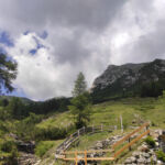 Foto 2020 2866381410