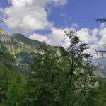 Foto 2020 3223400269