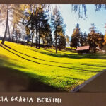 Foto 2020 3121387944