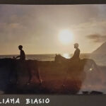 Foto 2020 2986600096