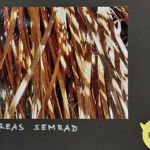 Foto 2020 2087403545