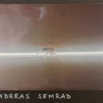 Foto 2020 2405687217