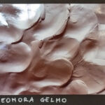 Foto 2020 2447434728