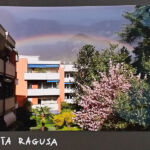 Foto 2020 1680412152